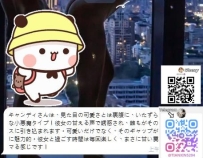 見た目は可愛い