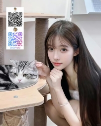 都内の猫カフェで放課後にアルバイトをする雫音